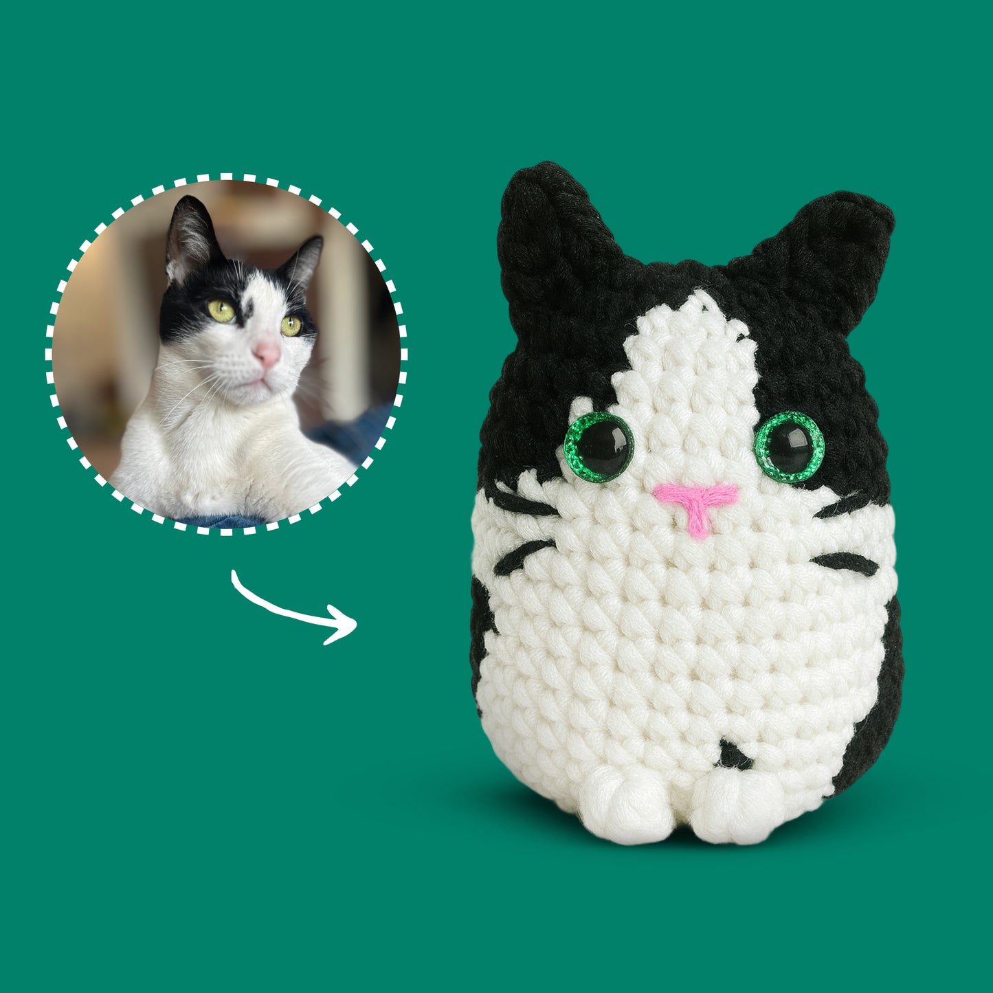 Personalized Pet Crochet Kit