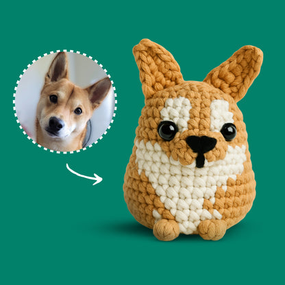 Personalized Dog Crochet Kit