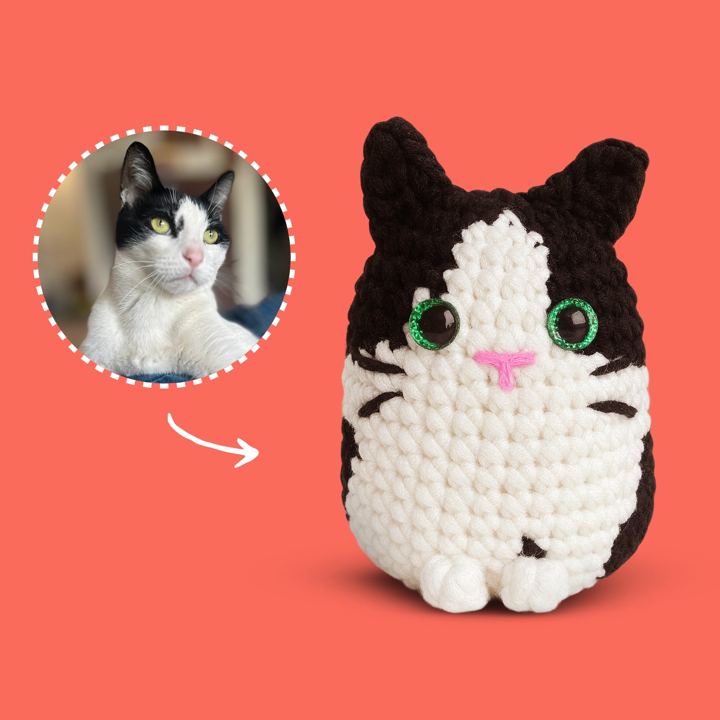 Personalized Cat Crochet Kit