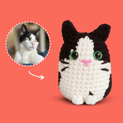 Personalized Cat Crochet Kit