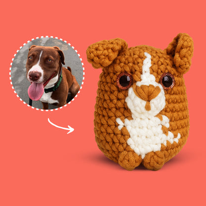 Personalized Dog Crochet Kit