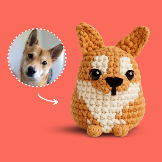 Personalized Dog Crochet Kit